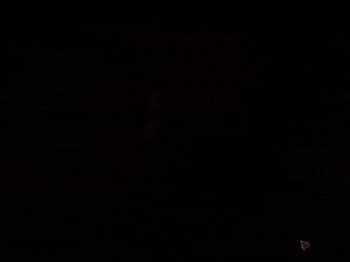 1girl 3d all_fours animated animated_gif anus aqua_eyes ass blush breasts demon_tail female_focus flower french_text from_behind hair_flower hair_ornament half-closed_eyes indoors long_hair looking_at_viewer looking_back lowres moaning open_mouth pink_hair pussy rondo_duo smile solo spread_pussy tail thighhighs tinkle_bell