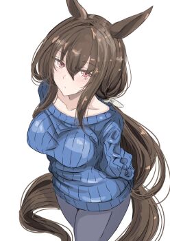 1girl admire_vega_(casual)_(umamusume) admire_vega_(umamusume) animal_ears blue_sweater blush breasts brown_hair casual closed_mouth collarbone commentary_request hair_between_eyes highres horse_ears horse_girl horse_tail ken_(shutenndouji1) large_breasts long_hair long_sleeves looking_at_viewer low_ponytail pants ponytail purple_eyes simple_background solo sweater tail umamusume white_background