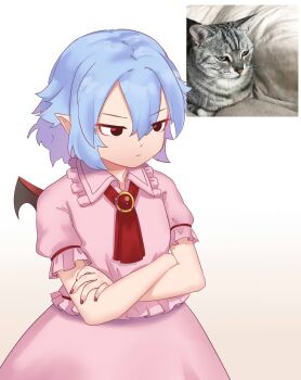 1girl ascot bat_wings blouse blue_hair brooch cat commentary crossed_arms derivative_work dress english_commentary frilled_shirt frilled_shirt_collar frilled_sleeves frills hair_between_eyes highres jewelry no_headwear no_headwear photo-referenced photo_inset pink_dress pink_shirt pink_skirt pointy_ears puffy_short_sleeves puffy_sleeves red_eyes reference_inset reference_photo reference_work remilia_scarlet shirt short_hair short_sleeves simple_background skirt skirt_set touhou wings wrist_cuffs yoruny