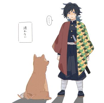Rule 34 | ..., 1boy, belt, black hair, black jacket, black pants, black socks, blue eyes, buttons, demon slayer uniform, dog, from behind, full body, gold buttons, haori, high collar, highres, jacket, japanese clothes, katana, kikkoumon, kimetsu no yaiba, looking at animal, low ponytail, male focus, o87 426, open mouth, pants, ponytail, print haori, red haori, sandals, shadow, simple background, socks, solo, spiked hair, spoken ellipsis, standing, sword, tail, tail wagging, tomioka giyuu, translation request, weapon, white background, white belt