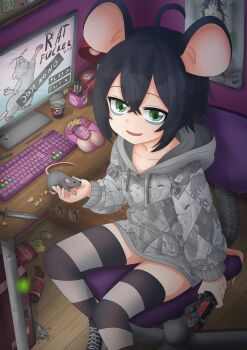 1girl absurdres animal chair computer computer_keyboard computer_mouse highres indoors kaschmatz monitor mouse original rats_(humanerodent) sitting solo thighhighs uncensored