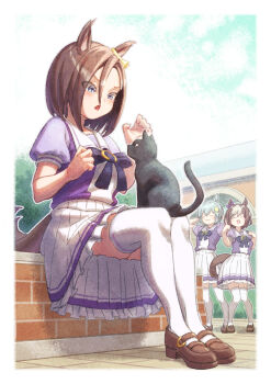 3girls :3 air_groove_(umamusume) animal_ears blue_eyes blush bow bowtie breasts brick_floor brown_hair cat closed_eyes closed_mouth commentary commentary_request creape ear_bow ear_covers flower grey_hair hair_between_eyes hair_flower hair_ornament highres horse_ears horse_girl horse_tail medium_breasts multicolored_hair multiple_girls open_mouth outdoors pleated_skirt puffy_short_sleeves puffy_sleeves purple_bow purple_bowtie purple_shirt sailor_collar sailor_shirt school_uniform seiun_sky_(umamusume) shirt shoes short_hair short_sleeves single_ear_cover sitting skirt special_week_(umamusume) sunflower sunflower_hair_ornament tail thighhighs thighs tracen_school_uniform two-tone_hair umamusume white_hair white_sailor_collar white_skirt white_thighhighs yellow_bow