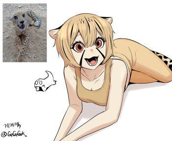 1girl :d animal_ears artist_name artist_self-insert bare_shoulders black_mouth black_streaks blonde_hair brown_eyes cat_ears cat_girl cat_tail cheetah cheetah_girl cheetah_girl_(gegegekman) collarbone creature_and_personification elbow_rest eyelashes feet_out_of_frame gegegekman hair_between_eyes highres korean_text looking_at_viewer lying midriff_peek on_stomach open_mouth original personification photo-referenced raised_eyebrows reference_inset sharp_teeth signature simple_background smile solo sports_bra spotted_hair tail teeth twisted_torso twitter_username white_background yellow_leggings yellow_sports_bra