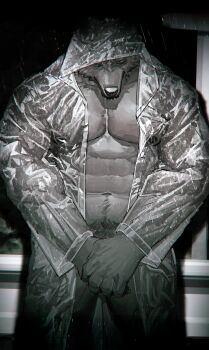 1boy abs absurdres bara covering_crotch covering_privates cowboy_shot dark furry furry_male grey_fur highres large_pectorals male_focus male_pubic_hair mature_male muscular muscular_male naked_raincoat navel navel_hair neumo original pectoral_cleavage pectorals pubic_hair rain raincoat see-through_clothes see-through_raincoat solo standing stomach wet wolf_boy