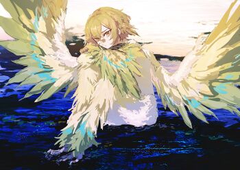 1boy animal_ears animal_feet animal_legs arms_on_knees bird_boy bird_ears bird_legs blonde_hair chinese_commentary feathered_wings highres knees_up limbus_company looking_at_viewer male_focus multicolored_feathers ocean on_ground project_moon sea_sparkle sinclair_(project_moon) sitting sky water white_sky wings yellow_eyes zhishi_tui_tuhao
