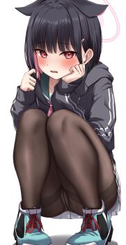 1girl absurdres animal_ears aqua_shoes black_hair black_jacket blue_archive blush brown_pantyhose colored_inner_hair commentary crotch_seam full_body hair_ornament hairclip halo hand_on_own_cheek hand_on_own_face highres jacket kazusa_(blue_archive) knees_together_feet_apart legs long_sleeves looking_at_viewer minazuki_(uraha246) miniskirt multicolored_hair open_mouth panties panties_under_pantyhose pantyhose pink_hair red_eyes shoes short_hair simple_background skirt sneakers solo squatting thighband_pantyhose track_jacket twirling_hair two-tone_hair underwear upskirt white_background white_panties white_skirt