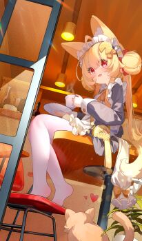 1girl absurdres animal_ears apron blonde_hair cat chair commentary_request cup dress dutch_angle food-themed_hair_ornament fox_ears fox_girl fox_tail from_side full_body grey_dress hair_bun hair_ornament heart highres holding holding_cup holding_saucer lemon_hair_ornament loli long_sleeves looking_at_viewer maid_apron maid_headdress ningmeng_jing_jing_jing_jing open_mouth original pantyhose red_eyes saucer short_dress side_up_bun sitting sitting_on_table tail teacup variant_set white_pantyhose