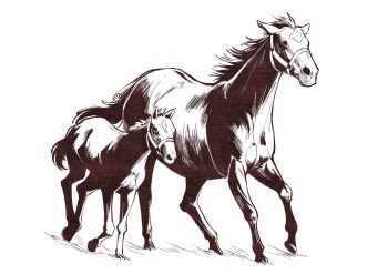 animal_focus bridle closed_mouth commentary_request gentildonna_(racehorse) highres horse monochrome no_humans real_life running simple_background tail takatsuki_nato white_background