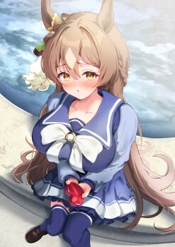 Rule 34 | 1girl, absurdres, animal ears, blush, bow, bowtie, box, braid, breasts, brown eyes, brown hair, collarbone, commentary request, double-parted bangs, ear ornament, gift, gift box, hair between eyes, half up braid, heart-shaped box, highres, holding, holding box, horse ears, horse girl, horse tail, large breasts, long hair, long sleeves, looking at viewer, multicolored hair, p1 fcoyaa, pleated skirt, purple sailor collar, purple serafuku, purple shirt, purple skirt, purple thighhighs, sailor collar, sailor shirt, satono diamond (umamusume), school uniform, serafuku, shirt, shoes, sitting, skirt, solo, streaked hair, tail, thighhighs, tracen school uniform, umamusume, very long hair, white bow, white bowtie