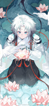 1boy aqua_eyes bindi bishounen black_hair braid flower fukengaku_(onmyoji) gradient_hair hakama hakama_pants highres japanese_clothes long_hair long_sleeves looking_at_viewer lotus male_focus multicolored_hair onmyoji pants parted_bangs sitting socks solo string string_of_fate tassel two-tone_hair wariza watermark weibo_5662063708 weibo_watermark white_hair