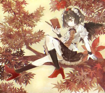 Rule 34 | 1girl, autumn, autumn leaves, bird wings, black hair, black ribbon, black socks, black wings, blouse, book, collared shirt, commentary request, full body, hair between eyes, hat, high heels, holding, holding book, kneehighs, konabetate, leaf, neck ribbon, orange eyes, petticoat, pointy ears, pom pom (clothes), puffy short sleeves, puffy sleeves, red footwear, red hat, ribbon, ribbon-trimmed skirt, ribbon trim, shameimaru aya, shirt, short hair, short sleeves, socks, solo, tokin hat, touhou, white shirt, wings, wristband