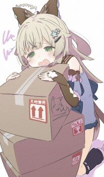 1girl @_@ adversarial_noise ahoge animal_ears bare_shoulders blush bow box brown_bow brown_hair cardboard_box cat_ears cat_girl cat_tail detached_sleeves genshin_impact green_eyes hair_ornament highres in_box in_container inaririn kirara_(genshin_impact) kneeling long_hair long_sleeves multiple_tails open_mouth simple_background socks solo sweat tail two_tails wavy_mouth white_background