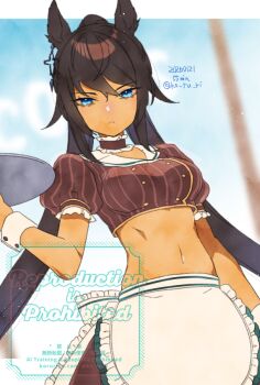 1girl animal_ears apron black_hair blue_eyes breasts brown_shirt brown_skirt closed_mouth coco's collar commentary_request cropped_shirt dark-skinned_female dark_skin frilled_collar frills hair_between_eyes holding holding_tray horse_ears horse_girl koruri long_hair looking_at_viewer medium_breasts midriff navel ponytail puffy_short_sleeves puffy_sleeves shirt short_sleeves skirt symboli_kris_s_(umamusume) tray umamusume waist_apron white_apron white_wrist_cuffs wrist_cuffs
