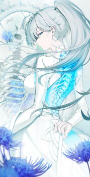 1girl absurdres ahoge blue_eyes blue_flower bone breasts broken_skull different_reflection dress flower flower_in_eye from_behind glowing grey_hair high_ponytail highres ine_(vtuber) large_breasts long_hair looking_at_viewer magictuna mirror open_clothes open_dress parted_lips ponytail red_flower reflection ribs see-through_body skeleton skull spider_lily spine symbol_in_eye twitter_username very_long_hair waktaverse white_dress
