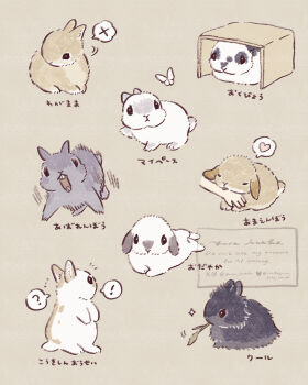 ! ? animal animal_focus black_rabbit_(animal) bug butterfly commentary_request highres insect no_humans original rabbit spoken_exclamation_mark spoken_question_mark white_butterfly white_rabbit_(animal) yurano_(upao)