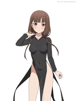 1girl alternate_costume arm_at_side black_dress blush breasts brown_eyes brown_hair closed_mouth collarbone collared_dress commentary coro_fae covered_navel dot_nose dress embarrassed english_commentary groin hand_up highres iino_miko kaguya-sama_wa_kokurasetai_~tensai-tachi_no_renai_zunousen~ light_frown long_hair long_sleeves looking_at_viewer low_twintails medium_breasts no_panties pelvic_curtain side_slit simple_background solo split_mouth standing straight-on sweat twintails v-shaped_eyebrows white_background wing_collar wispy_bangs
