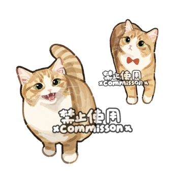 animal animal_focus bow bowtie cat commission fangs full_body green_eyes looking_at_viewer multiple_views no_humans open_mouth original red_bow red_bowtie simple_background sitting standing tabby_cat walking watermark white_background xiao_bo_kuai_kuai yellow_cat