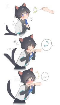 1boy ^^^ absurdres animal_ears averting_eyes black_bodysuit black_bridal_gauntlets black_hair black_shorts blue_cape blue_sleeves blunt_ends blush bodysuit bridal_gauntlets cape cat_boy cat_ears cat_tail choppy_bangs clenched_hands closed_eyes closed_mouth disembodied_hand genshin_impact grabbing_another's_hand hands_up highres imminent_bite japanese_clothes kimono layered_sleeves looking_at_hand male_focus middle_ring nero_hanken open_clothes open_kimono purple_eyes scaramouche_(genshin_impact) sequential short_sleeves shorts tail tail_raised tail_wagging upper_body wanderer_(genshin_impact) white_background white_kimono white_sleeves