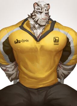 1boy alternate_costume animal_ears arknights arms_behind_back bara black_pants bound bound_arms bound_wrists bulge commentary_request covered_erect_nipples facial_hair feet_out_of_frame furry furry_male goatee highres large_pectorals male_focus mountain_(arknights) muscular muscular_male pants pectoral_cleavage pectorals scar scar_across_eye scar_on_arm scar_on_face shirt short_hair sitting solo sportswear spread_legs thick_eyebrows thick_thighs thighs tiger_boy tiger_ears trtoutoongo white_fur white_hair yellow_shirt