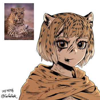 1girl absurdres animal_ears artist_name bruise bruise_on_face cape closed_mouth creature_and_personification dilated_pupils expressionless gegegekman gradient_hair highres injury jaguar jaguar_ears multicolored_hair original personification photo-referenced photo_inset reference_photo scar scar_on_face scar_on_forehead scratches short_hair simple_background solo spotted_hair twitter_username upper_body white_background yellow_cape yellow_eyes