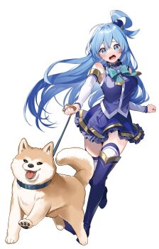 1girl aqua_(konosuba) aqua_bow aqua_bowtie artist_request blue_eyes blue_hair blush bow bowtie breasts collar detached_sleeves dog hair_ornament hair_rings highres holding holding_leash kono_subarashii_sekai_ni_shukufuku_wo! large_breasts leash leash_pull long_hair looking_at_viewer open_mouth pet_walking second-party_source shiba_inu simple_background solo sphere_hair_ornament thighhighs thighs tongue white_background white_thighhighs