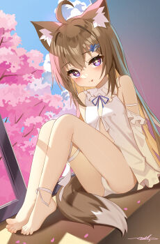 1girl ahoge animal_ear_fluff animal_ears ankle_strap bare_legs barefoot blush breasts brown_hair cherry_blossoms cross-shaped_pupils detached_sleeves dress feet frills hair_ornament highres looking_at_viewer no_pants original panties purple_eyes sitting small_breasts symbol-shaped_pupils tail thigh_strap thighs toes tongue tongue_out underwear white_dress white_panties window windowsill zds