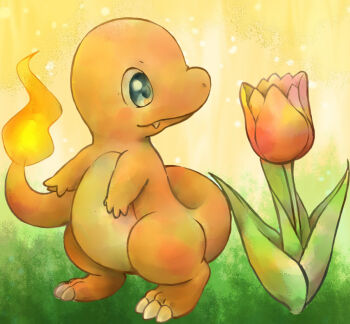 animal_focus attopikatyu black_eyes charmander claws closed_mouth commentary_request fang fire flame-tipped_tail flower full_body gen_1_pokemon gradient_background looking_at_flowers nintendo no_humans pink_flower pokemon pokemon_(creature) solo tail tulip