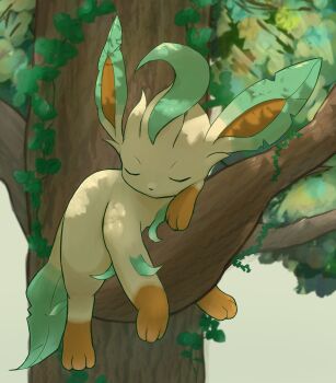 absurdres closed_eyes commentary_request from_below gen_4_pokemon highres leaf leafeon lying lying_on_branch nintendo no_humans on_branch on_stomach plant pokemon pokemon_(creature) pokemon_focus raaaichupudding sleeping solo tree vines