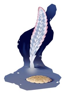 absurdres charnia combos_&amp;_doodles fractofusus highres no_humans original solo