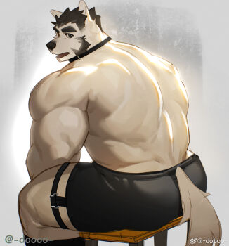 1boy animal_ears ass back_muscles bara dog_boy dog_ears dog_tail doooo_(doooo24) facial_hair feet_out_of_frame from_behind furry furry_male highres huge_eyebrows looking_at_viewer male_focus mature_male muscular muscular_legs muscular_male mutton_chops original short_hair sitting solo strongman_waist tail thighs topless_male white_fur