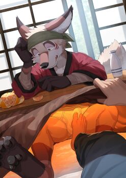 1boy absurdres agitong amorey_(another_eidos) animal_ears another_eidos-r barefoot bottle bulge claws commentary_request fang food footjob fruit furry furry_male green_headband headband highres kobold kotatsu looking_down male_focus male_underwear open_mouth orange_(fruit) orange_peel pawpads pov sake_bottle shouji sliding_doors table tail underwear white_male_underwear