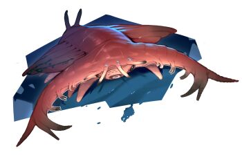 absurdres antennae combos_&amp;_doodles highres no_humans omniden original solo trilobite