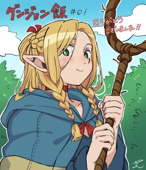 1girl blonde_hair blue_capelet blue_sky braid capelet choker cloud dungeon_meshi elf forest green_eyes highres holding holding_staff light_blush long_sleeves marcille_donato nature piko_han pointy_ears ponytail red_choker red_ribbon ribbon side_braids simple_background sky staff twin_braids upper_body