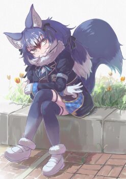 1girl :3 animal_ears black_bow black_hair black_jacket blue_bow blue_bowtie blue_hair blue_skirt blue_thighhighs blue_trim blush bow bowtie breast_pocket center_frills dire_wolf_(kemono_friends) frills fur_collar gloves gold_trim gradient_thighhighs green_eyes hair_between_eyes hair_bow highres jacket japari_symbol juliet_sleeves kemono_friends kemono_friends_v_project long_sleeves microphone multicolored_hair okyao plaid_clothes plaid_skirt plaid_trim pocket puffy_sleeves shirt sidelocks sitting skirt solo tail thighhighs virtual_youtuber white_fur white_gloves white_hair white_shirt wolf_ears wolf_girl wolf_tail zettai_ryouiki