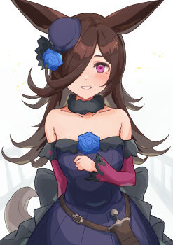 Rule 34 | 1girl, absurdres, amamoru 21, animal ears, bare shoulders, blue dress, blue flower, blue hat, blue rose, blush, breasts, brown hair, collarbone, commentary request, dagger, dress, flipped hair, flower, fur choker, hair over one eye, hat, hat flower, highres, horse ears, horse girl, horse tail, knife, long hair, long sleeves, looking at viewer, off-shoulder dress, off shoulder, open mouth, purple eyes, rice shower (rosy dreams) (umamusume), rice shower (umamusume), rose, sheath, sheathed, small breasts, smile, solo, tail, tilted headwear, umamusume, weapon