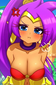 bare_shoulders blue_eyes blush bra bracelet breasts dark-skinned_female dark_skin earrings jewelry large_breasts long_hair looking_at_viewer lukari pointy_ears ponytail pout purple_hair shantae shantae_(series) underwear very_long_hair