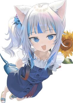 1girl :d animal_ears arms_behind_back blue_eyes blue_nails blue_skirt blue_streaks blunt_bangs buttons cat_ears collarbone commentary cube_hair_ornament fins fish_tail flower frilled_sleeves frills from_above full_body gawr_gura gawr_gura_(casual) hair_ornament highres holding holding_flower hololive hololive_english invisible_floor koyo2023 long_hair long_sidelocks looking_at_viewer multicolored_hair nail_polish official_alternate_costume official_alternate_hairstyle open_mouth raised_eyebrows sandals shade shark_girl shark_tail sharp_teeth shirt short_sleeves side_ponytail sidelocks simple_background skirt skirt_set slit_pupils smile standing standing_on_one_leg streaked_hair sunflower suspenders tail teeth tsurime untranslatable_commentary upper_teeth_only virtual_youtuber white_background white_hair white_shirt
