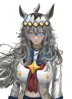 Rule 34 | 1girl, absurdres, ahoge, animal ears, arms at sides, black hair, blue eyes, blue pupils, blue sailor collar, brooch, chenggg 0224, closed mouth, collared jacket, commentary request, ear ornament, floating hair, glowing pupils, grey hair, hair ornament, highres, horse ears, jacket, jewelry, long hair, long sleeves, looking at viewer, midriff, multicolored hair, navel, neckerchief, oguri cap (starlight beat) (umamusume), oguri cap (umamusume), red neckerchief, sailor collar, simple background, solo, star brooch, stomach, straight-on, umamusume, upper body, very long hair