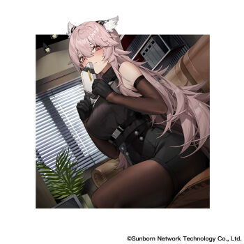 1girl animal_ears black_gloves blush breasts brown_pantyhose cat_ears chocolate copyright_notice couch fern girls'_frontline girls'_frontline_neural_cloud gloves large_breasts long_hair official_art outside_border pantyhose persicaria_(neural_cloud) pink_hair sitting sleeveless sleeveless_turtleneck solo turtleneck valentine vinegar_kira window window_blinds