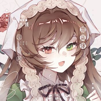 1girl dress fang green_dress green_eyes headscarf heterochromia highres long_hair mujin64327 open_mouth portrait red_eyes rozen_maiden sample_watermark skin_fang solo suiseiseki very_long_hair watermark white_headscarf