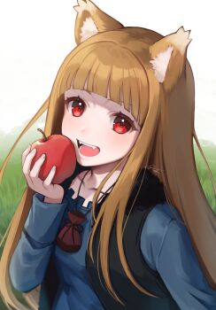 1girl absurdres animal_ear_fluff animal_ears apple bag black_vest blue_shirt blunt_bangs breasts collarbone fangs food fruit fur-trimmed_vest fur_trim grass grasslands highres holding holding_food holding_fruit holo jewelry long_hair looking_at_viewer necklace open_mouth sakura_chiyo_(konachi000) sharp_teeth shirt sky small_breasts smile solo spice_and_wolf standing tall_grass teeth tongue very_long_hair vest white_sky wolf_ears wolf_girl