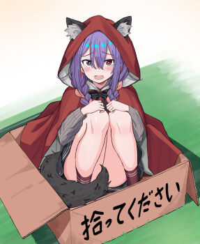 1girl absurdres animal_ear_fluff animal_ears aqua_pupils black_bow black_skirt blush bow box braid braided_twintails bright_pupils cardboard_box center-flap_bangs cloak commentary_request convenient_censoring double-parted_bangs full_body grey_shirt hair_between_eyes hands_on_own_knees highres hood hooded_cloak in_box in_container iroha_nanairo_(urushiushiru) knees_up little_red_riding_hood_(fairy_tale) long_bangs long_hair long_sleeves looking_at_viewer miniskirt open_mouth original purple_hair raised_inner_eyebrows red_cloak red_eyes red_socks shirt sitting skirt socks solo straight-on striped_clothes striped_shirt tail tearing_up translation_request urushiushiru variant_set vertical-striped_clothes vertical-striped_shirt wolf_ears wolf_girl wolf_tail