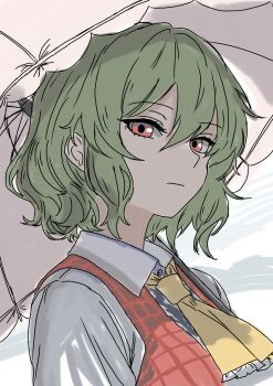 1girl ascot close-up dress_shirt green_hair highres kametoyou kazami_yuuka looking_at_viewer open_clothes open_vest parasol plaid_clothes plaid_vest red_eyes red_vest shirt solo touhou umbrella vest white_shirt