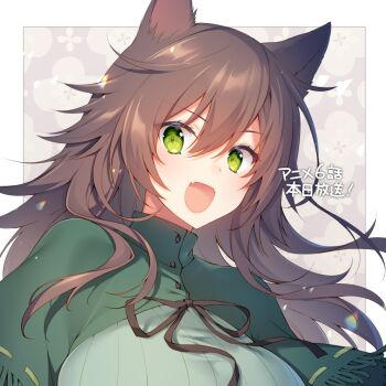 1girl animal_ears black_ribbon border breasts brown_hair capelet choujin_koukousei-tachi_wa_isekai_demo_yoyuu_de_ikinuku_you_desu! commentary_request fang green_capelet green_eyes green_shirt hair_between_eyes large_breasts long_hair looking_at_viewer neck_ribbon official_art open_mouth ribbon sacraneco shirt skin_fang solo white_border winona wolf_ears