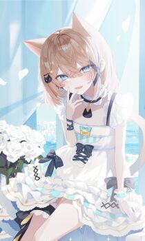 Rule 34 | 1girl, absurdres, animal ears, backlighting, black ribbon, blue eyes, blush, bouquet, breasts, brown hair, cat ears, cat girl, cat hair ornament, cat necklace, cat tail, crossed bangs, dress, fang, flower, frilled dress, frilled wristband, frills, hair ornament, hairband, hairclip, hand on own face, highres, jewelry, karou (lhscck302), kumonoue yumemi, layered dress, leg ribbon, looking at viewer, medium hair, necklace, ocean, official art, open mouth, overexposure, puffy short sleeves, puffy sleeves, ribbon, short sleeves, sitting, slit pupils, small breasts, smile, solo, straight hair, tail, thigh ribbon, white dress, window, yumemi channel