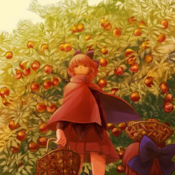 1girl apple apple_tree basket black_shirt bow cape commentary_request cowboy_shot cropped_legs day disembodied_head expressionless female_focus floating_head food from_below fruit hair_bow holding holding_basket long_sleeves looking_at_viewer object_on_head outdoors pleated_skirt red_cape red_eyes red_hair red_skirt reika_winter sekibanki shirt short_hair skirt solo standing touhou tree wind wind_lift