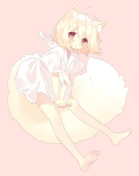 1girl ahoge animal_ear_fluff animal_ears barefoot blonde_hair double-parted_bangs fox_ears fox_girl fox_tail hair_between_eyes highres large_tail light_blush looking_at_viewer medium_hair neckerchief no_pants open_mouth original pink_background red_eyes sailor_collar shirt short_sleeves simple_background solo tail v_arms white_neckerchief white_shirt yunochia