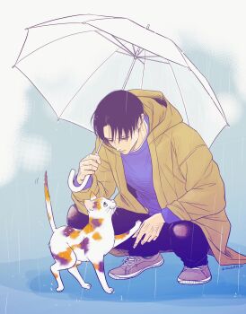 Rule 34 | 1boy, animal, black hair, blue shirt, calico (pattern), calico cat, cat, coat, commentary request, crew neck, full body, highres, holding, holding umbrella, hood, hood down, ikichi8tkjn, layered sleeves, levi (shingeki no kyojin), long sleeves, looking down, male focus, outdoors, rain, raincoat, shingeki no kyojin, shirt, shoes, sneakers, solo, umbrella, white umbrella, yellow coat