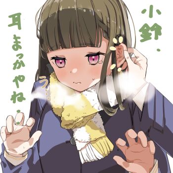 2girls 3: blush braid brown_hair center-flap_bangs claw_pose closed_mouth coat commentary_request frown grabbing_another's_ear hand_on_another's_ear hasu_no_sora_school_uniform highres kachimachi_kosuzu link!_like!_love_live! llb long_hair long_sleeves love_live! multiple_girls notice_lines pink_eyes purple_coat scarf school_uniform side_braids solo_focus translation_request virtual_youtuber yellow_scarf