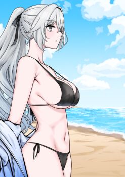 1girl absurdres beach bikeibikei bikini black_bikini blue_sky breasts bronya_zaychik bronya_zaychik_(silverwing:_n-ex) commentary_request drill_hair from_side grey_eyes grey_hair hair_intakes highres honkai_(series) honkai_impact_3rd korean_commentary large_breasts long_hair midriff navel ocean sky solo swimsuit thighs very_long_hair